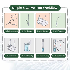 Kit de Prueba de Ácido Nucleico para Infecciones Sexualmente Transmisibles (IST) Multiplex, Reactivo de Diagnóstico Rápido de Alta Sensibilidad - Product Image 4