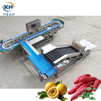 Ronde Fruit Speciale Weegsorteermachine met Verstelbare Productiecapaciteit voor Kleine en Middelgrote Verwerkingsbedrijven