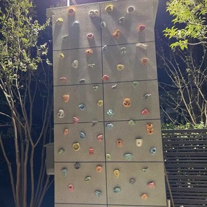 Parque infantil Jiayi Soportes de pared de escalada de resina de color mixto con tornillo