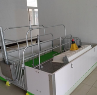 Cage de mise bas de type européen avec conception anti-écrasement et plancher à lattes en fonte