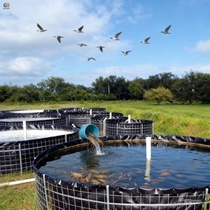 แผ่นรองบ่อ<span class=keywords><strong>ปลา</strong></span>ทิลาเปีย HDPE Geomembrane หนา 1 มม. สำหรับขาย - Product Image 5