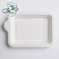 Assiettes rectangulaires jetables pour gâteaux, plateaux de service pour desserts d'anniversaire, logo personnalisable, assiettes de fête élégantes