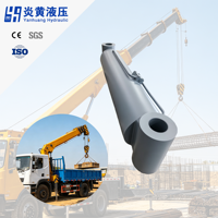 Flexible Installation and Connection Hard Chrome Plated Stainless Steel Luffing Hydraulic <strong>Cylinder</strong> for <strong>Best</strong> <strong>Selling</strong>