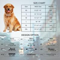 Vintage Echtleder Verstellbares Hundehalsband und Leine Set Personalisiert Maßgefertigt für Kleine Mittlere Große Hunde Haustier Großhandel