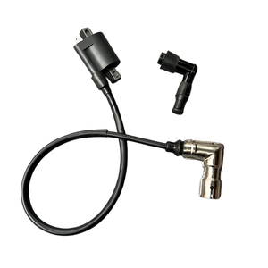 คอยล์จุดระเบิดอเนกประสงค์ยี่ห้อ YiQiao แรงดันสูง 150 200 250 ซีซี พร้อมปลอกหัวเทียนพลาสติก ด้านขวา สำหรับรถจักรยานยนต์ รุ่นใหม่ - Product Image 1