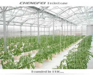 Commercial multi-span venlo automatic glass agricultural hydroponic tomato vegetable greenhouses supplier for sale