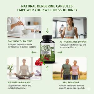 Yüksek Emilimli Lipozomal Berberin 1000mg Kapsüller Doğal HCL Gıda Takviyeleri OEM/ODM Hizmeti - Product Image 3