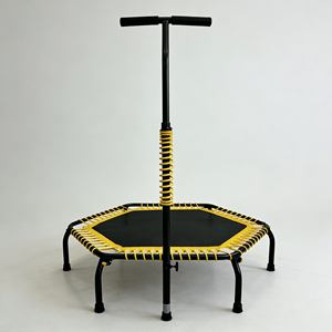 Kapsamlı Aerobik Egzersiz Programları ve Her Yetenekteki Çocuklar İçin Düşük Etkili Çocuk Kardiyo Trambolini - Product Image 1