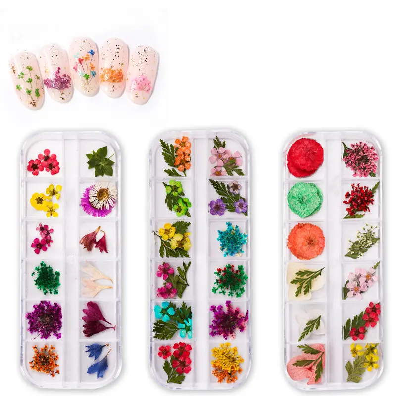 Real Dried Flowers Floral Sticker Mixed Dry Natural Pressed Decoration Nail Flower