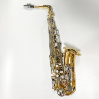 OEM Alto Saxophone Brass Body Gold Lacquer with Nickle-plated Keys Full Set with Hard Case Mouthpiece Reeds Accessories