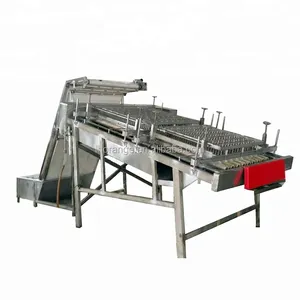 300kg/h automatic shrimp skin peeling machine prawn shrimp peel shell removing machine