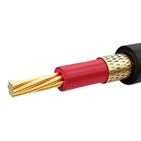 Câble adaptateur 1/4 TRS 6,35 mm femelle vers Mini XLR mâle, stéréo, équilibré, nickelé, gaine PVC, sortie audio-vidéo pour voiture, HDTV, ordinateur