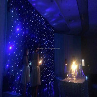 Lumière matricielle LED d'intérieur en couleur BW/W/RVB 3x3m 3x6m rideau d'étoiles avec contrôle DMX512 effet ciel étoilé