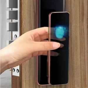 Smartphone telecomando biometrico impronta digitale codice intelligente chiave chiave Tuya Smart Door Lock per l'home Office