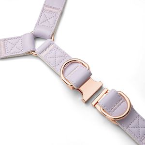 Correa y <span class=keywords><strong>Collar</strong></span> de cuero suave y nailon para perro, doble gancho de Color personalizado, de lujo, con hebilla dorada - Product Image 4