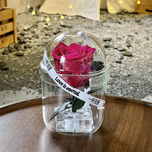 Ramo de rosas <span class=keywords><strong>eternas</strong></span> de lujo 2025 de larga duración en taza Regalo de Navidad romántico para sus flores preservadas - Product Image 5