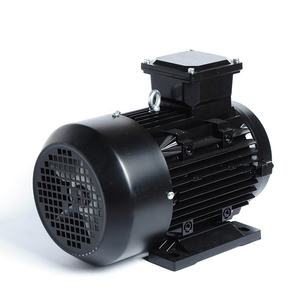 Efficienza Premium della serie IE2 2hp 3hp 10hp 15hp 20hp motore elettrico asincrono a induzione con alta velocità di alta qualità - Product Image 5