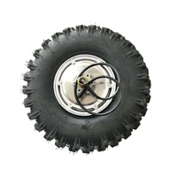 Moteur de moyeu à engrenages sans balais 14 pouces 100 Nm à faible vitesse et couple élevé, batterie au lithium, roue arrière, véhicule tout-terrain à poussée au pouce pour sable