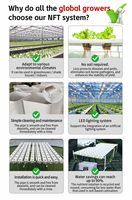 Système d'hydroponie agricole NFT d'intérieur à faible coût, nouvelle arrivée, facile à utiliser, avec couverture en PVC filmé