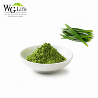 Usine en gros colorant naturel Pigment poudre Pandanus Amaryllifolius Pandan feuille extrait de plante pour additifs alimentaires tambour