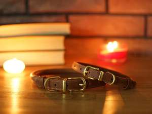 <span class=keywords><strong>Collar</strong></span> de cuero para perro, correa redonda duradera para perros, cachorros y gatos, Borgoña, multicolor a granel - Product Image 2