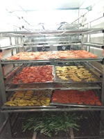Grote schaal warmtepomp fruitdrooginstallatie voor mango verwerkingszone 800kg industriële productielijn