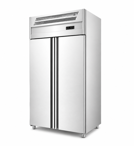 <span class=keywords><strong>Frigorifero</strong></span> Commerciale a <span class=keywords><strong>2</strong></span> <span class=keywords><strong>Porte</strong></span> in Acciaio Inossidabile, Frigo Verticale con Raffreddamento Uniforme e Facile Pulizia - Product Image 6