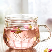 Mug à infuseur à thé en verre borosilicate classique avec couvercle, tasse à thé résistante à la chaleur, thé en fleurs, thé en feuilles, design inspiré de la nature