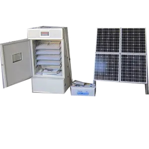 Incubadora para ovo de galinha comercial automática solar, 2464 peças, para venda