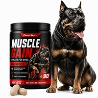 Comprimés de renforcement musculaire pour chiens, fabrication OEM, performance accrue, soutien nutritionnel pour chiens actifs, supplément à mâcher pour toutes les étapes de vie