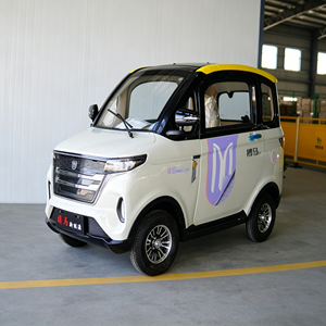 Vehículo Eléctrico Económico de 2-3 Plazas con Cabina Cerrada, Motor de 2Kw, Homologado EEC L6e para Movilidad de Personas Mayores - Product Image 1