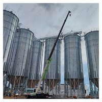 Silo Industrial de Acero para Granos de Café de Gran Capacidad (100-15000 Toneladas), Construcción Galvanizada en Caliente de Doble Capa, Control PLC Centralizado