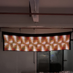 Schermo LED Flessibile per Bandiere e Costumi, Display per Spettacoli, Eventi, Festival, Parate, Concerti ed Esposizioni - Product Image 2
