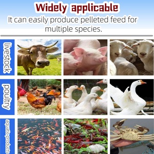Máquina de Alimentación para la Industria Agrícola, Peletizadora Motorizada de Alimento para Ganado, para la Elaboración de Alimento para Pollos, Cerdos, Vacas y Conejos - Product Image 2