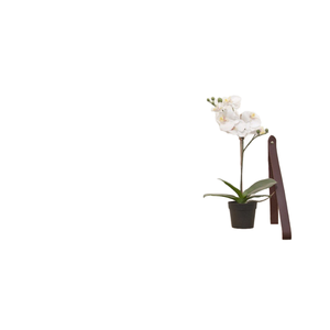 Étagère murale simple pour séparateur de salon, porte-ceintures mural pour couloir - Rangement multifonctionnel en bois/bambou pour magazines - Product Image 1