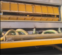 Máquina para hacer bandejas de papel y huevos