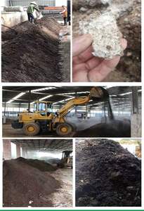 YD-C3009/C สารเร่งการย่อยสลายสำหรับเซลลูโลส/วัสดุทางการเกษตร แบคทีเรียหมักปุ๋ยชีวภาพอินทรีย์ - Product Image 2