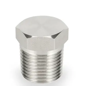 Blind 1/4 3/8 1/2 1 inch NPT BSPT Male Stainless steel 316 Monel Duplex 6Mo Instrumentation Pipe Fittings Hex Plug Solid Plug