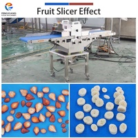 Fengxiang Commerciële Hoge Kwaliteit 304 RVS Groente- en Fruit Mango Verwerkingsmachine CE Gecertificeerd 220V/380V 1kW Schilmachine