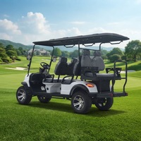 Voiturette de golf électrique homologuée pour la route Leibin, 6 places, batterie lithium 72V, couleur personnalisée, buggy tout-terrain, autonomie 90 km, vitesse 30-50 km/h, châssis en acier