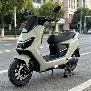 Motocicleta Clásica CKD SKD de 12 Pulgadas, 1100/1300W, Velocidad de 60km/h, para Adultos, en Venta - Product Image 4