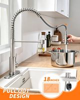 Keran dengan Semprotan Tarik Turun, Keran Wastafel Nikel Brushed, Pelat Dek Baja Tahan Karat 304, Gaya Farmhouse, RV, Bar, Ruang Cuci