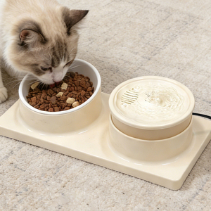 Pet 2-in-1 Water Fountain Automatic Ceramic Pet <b>Feeder</b> Eco-Friendly Plastic Water & Food Dispenser for Dog <b>Cat</b> - Product Image 1