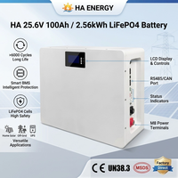 Batterie LiFePO4 murale 51,2V 48V 100Ah 200Ah pour système de stockage d'énergie domestique, alimentation solaire 5KWh 10KWh, alimentation de secours modulaire