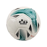 Ballon de football en cuir TPU cousu à la machine de taille personnalisée de haute qualité 5 pour la formation professionnelle en gros