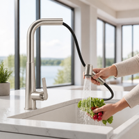 Robinet de cuisine en laiton massif nickel brossé, mitigeur d'évier extractible, rotation à 360°, jet double mode, poignée unique, vente en gros, usine OEM