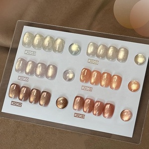 Kit de vernis à ongles gel effet œil de chat avec aimant, argenté, marron, rose, corail holographique, pour manucure en salon et nail art DIY - Product Image 2