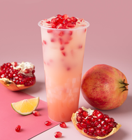 Bactéries lactiques fermentées concentrées boisson originale probiotiques multi-boissons Dessert lait thé boutique matières premières