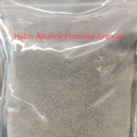 Poudre d'enzyme protéase alcaline de qualité alimentaire 1 000 000 U/G, fournie directement par l'usine