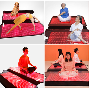 Nuovo baccello per dormire con terapia a forma di <span class=keywords><strong>U</strong></span> grande TLB2000Y-T 2480LED 3-in-1 chip per il recupero del dolore rosso e NIR per la cura di tutto il corpo - Product Image 5